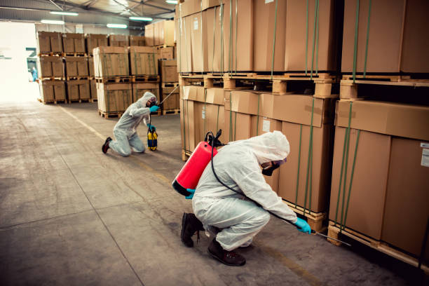 Best Ant Control Services  in Phillipsburg, GA
