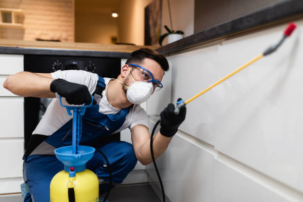 Best Bed Bug Extermination  in Phillipsburg, GA