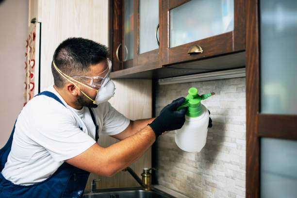 Insect Control in Phillipsburg, GA