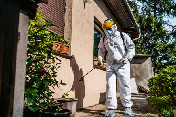 Best Flea Control Services  in Phillipsburg, GA