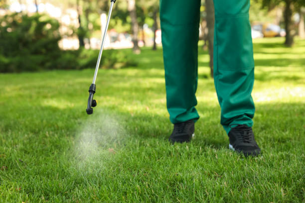 Trusted Phillipsburg, GA Pest Control Experts