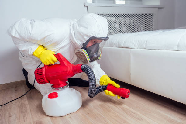 Best Mosquito Control Services  in Phillipsburg, GA
