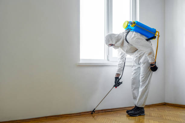 Best Commercial Pest Control Services  in Phillipsburg, GA