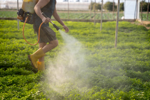 Best Best Pest Control Near Me  in Phillipsburg, GA