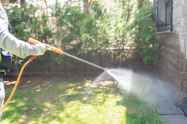 Reliable Phillipsburg, GA Pest Control Solutions