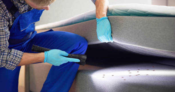 Best Residential Pest Control  in Phillipsburg, GA