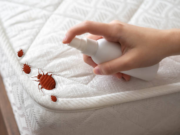 Best Exterminator Services  in Phillipsburg, GA