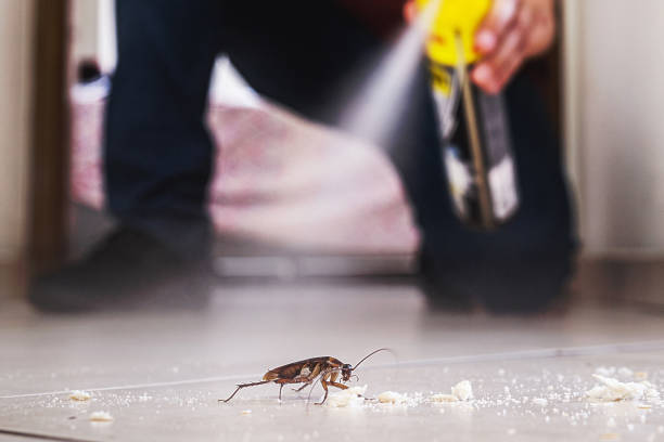 Pest Prevention Services in Phillipsburg, GA