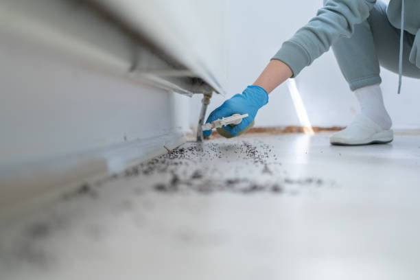 Best Affordable Pest Control Services  in Phillipsburg, GA