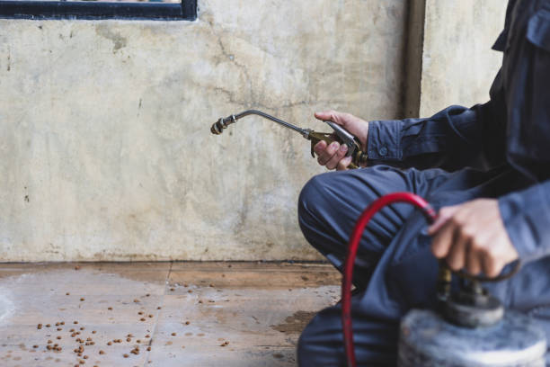 Best Emergency Pest Control  in Phillipsburg, GA